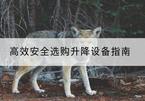 升降货梯厂家推荐-*安全选购升降设备指南