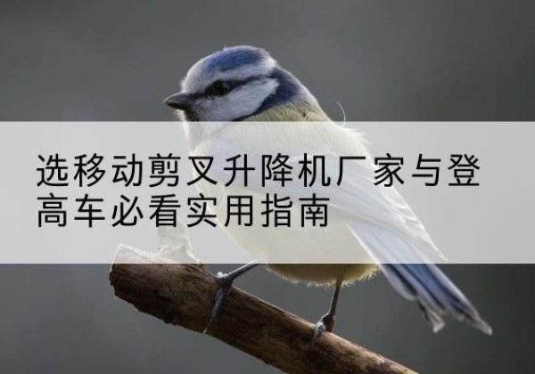 电动升降机厂家-选移动剪叉升降机厂家与登高车必看实用指南